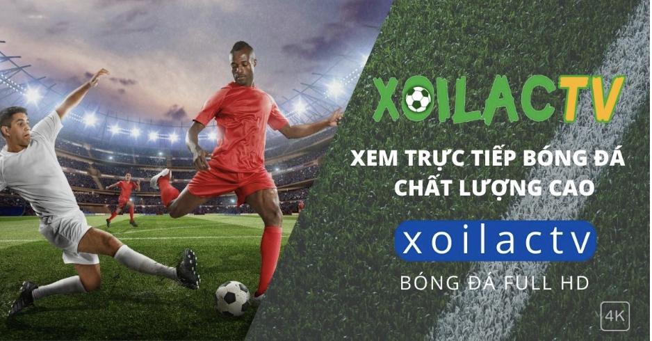 Xem bong da Xoilac TV là điểm đến lý tưởng cho những người yêu thích bóng đá
