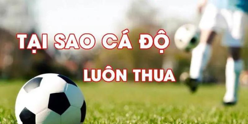 Tìm hiểu tổng quan về tại sao cá độ bóng đá luôn thua
