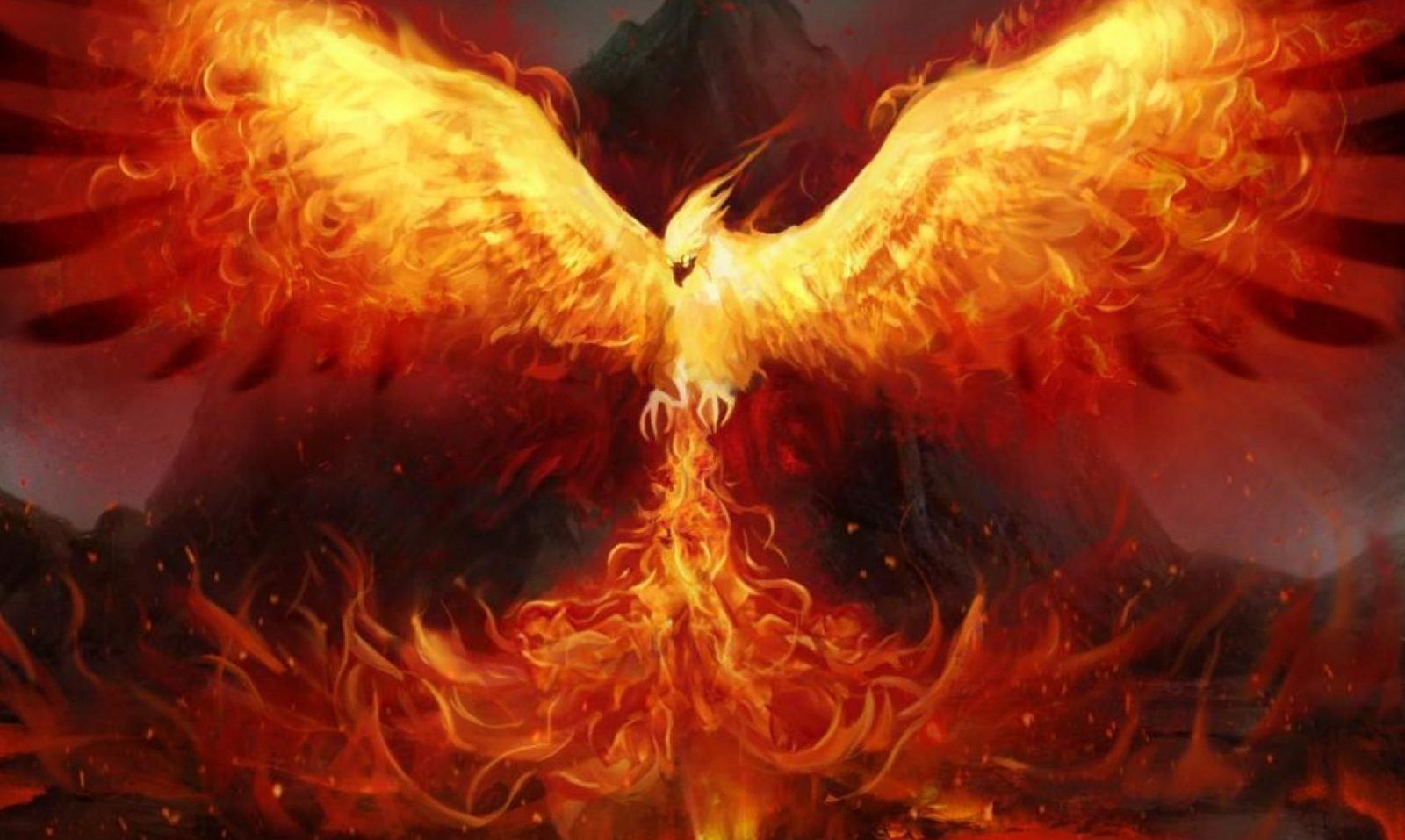 mơ thấy phượng hoàng